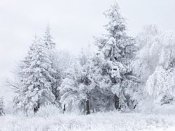 250px-snow-scene-at-shipka-pass-1