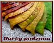 Barvy-podzimu