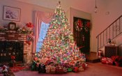 Christmas-backgrounds-room-with-christmas-tree-16-resize