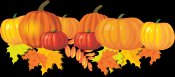 Fall-pumpkins-and-leaves