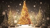 Glowing-christmas-trees-fullhdwpp-com