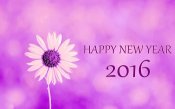 Happy-new-year-2016-image