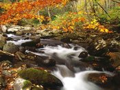 Laurel-creek-in-autumn-great-smoky-mountains-tennessee